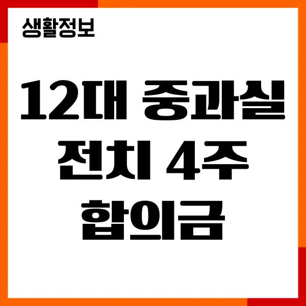 12대 중과실 전치 4주 합의금 얼마 범칙금, 주의사항