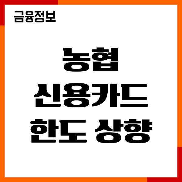 농협 신용카드 한도 상향 방법, 조건, 신청 절차, 이용후기
